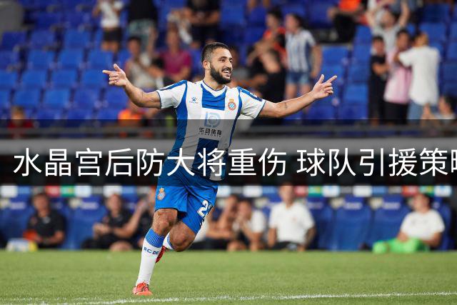 水晶宫后防大将重伤 球队引援策略不受影响