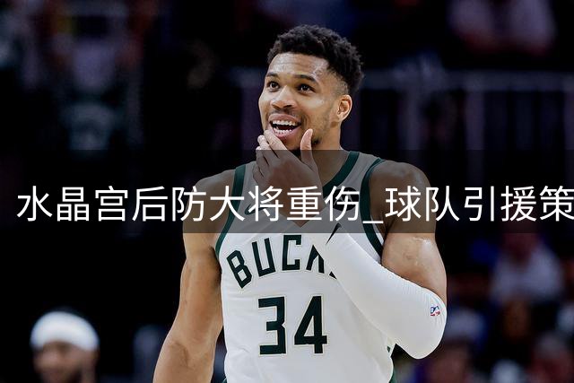 水晶宫后防大将重伤 球队引援策略不受影响